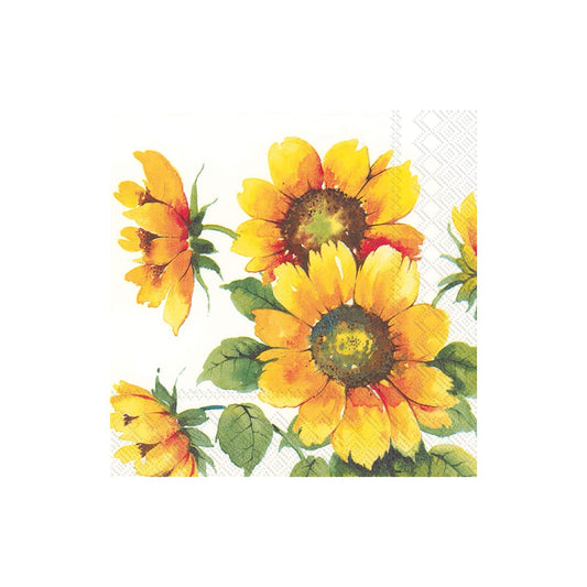 ihr SINCE 1977 Disposable Napkin, 20-Count Lunch Size, Colourful Sunflowers