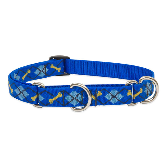 Lupine Pet Originals 3/4" Dapper Dog 10-14" Martingale Collar for Small Dogs