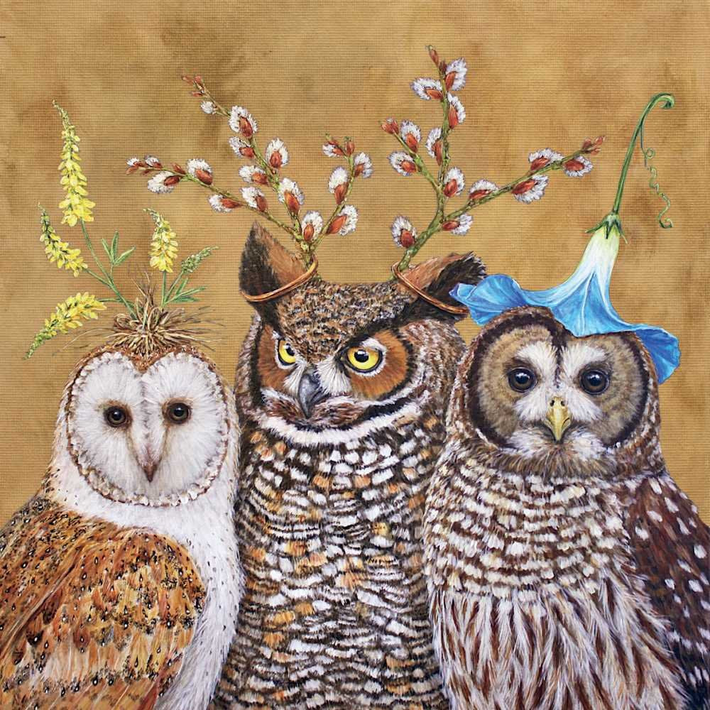 PPD Disposable Napkin, Vicki Sawyer, Owl Family