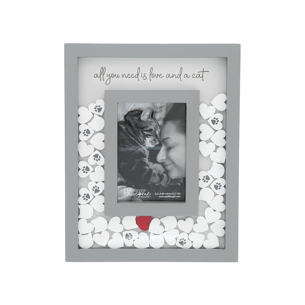 Pavilion Gift Company Picture Frame, 8X10, Gray, White, Red