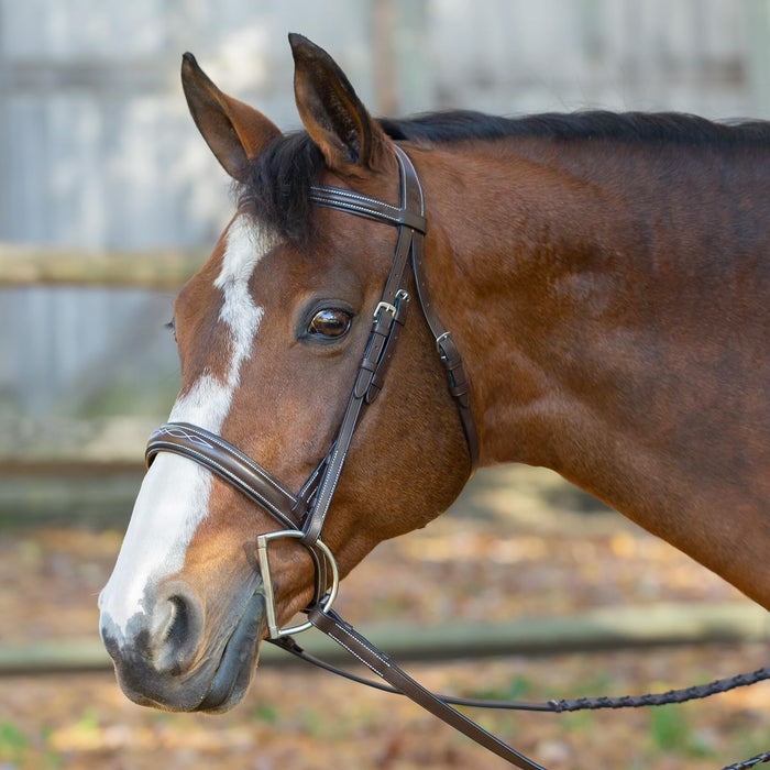 Equinavia Animal Harness, Cob, Chocolate Brown
