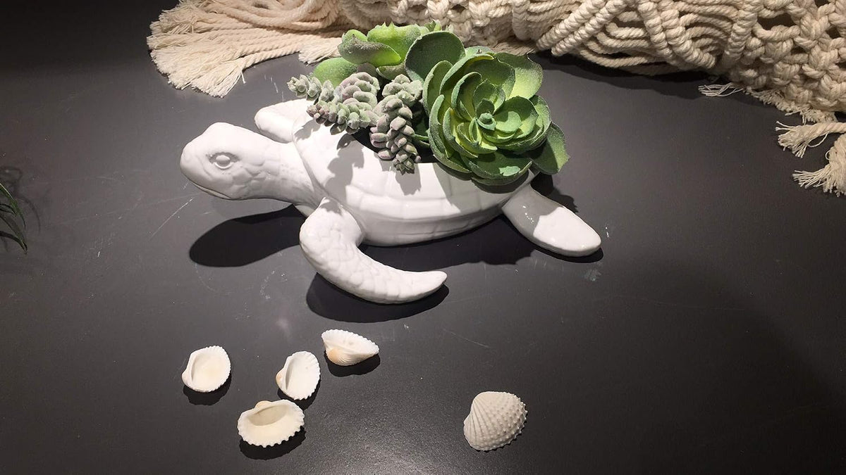 Comfy Hour 9" Ceramic Turtle Succulent Planter Flower Bud Pot Decorative Vase Small Plant Container, White