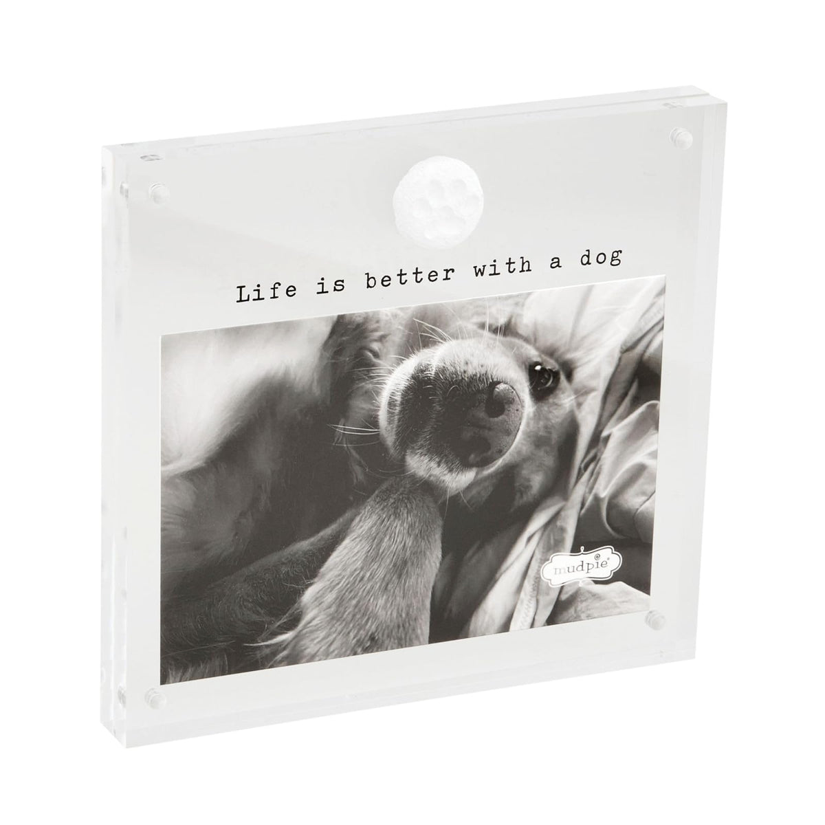 Mud Pie Picture Frame, One Size, Paw