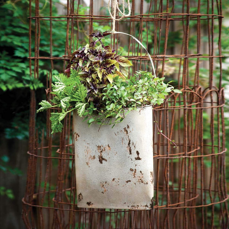 Old Grey Flattened Door Bucket