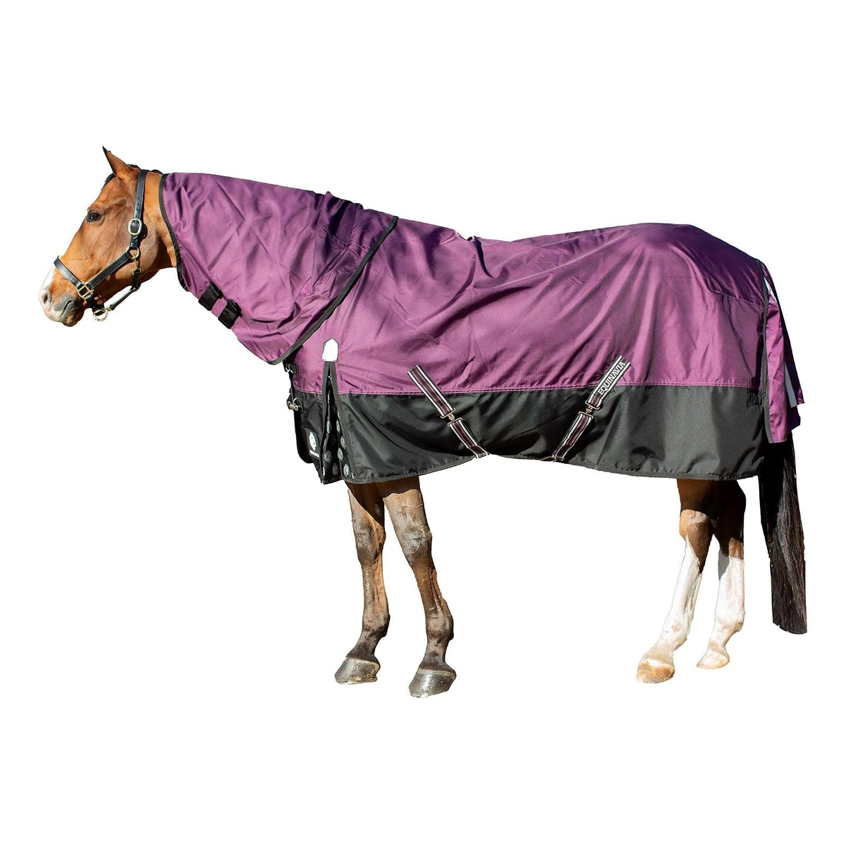 Equinavia Pet Apparel, 75 in, Plum Wine