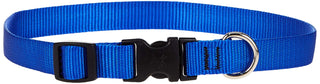 LupinePet Animal Collar