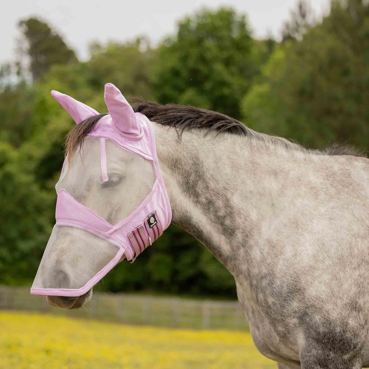 Equinavia Pet Pest Control, Horse, Sweet Pink