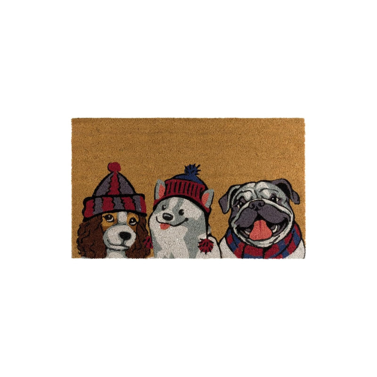 Regal Art & Gift Rug, Multi Color