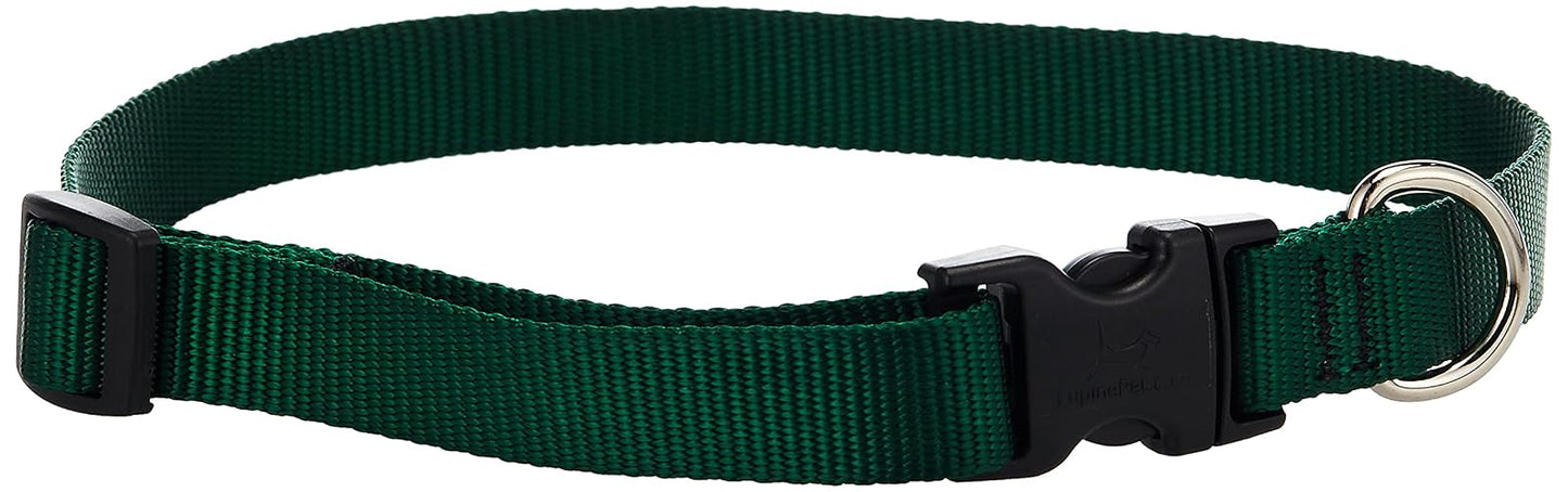 Lupine Pet Basics 3/4" Green 15-25" Adjustable Collar for Large Dogs