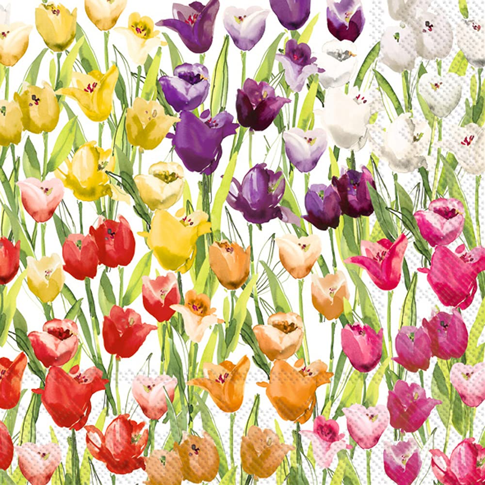 Boston International IHR 3-Ply Paper Napkins, 20-Count Lunch Size, Tulipfield