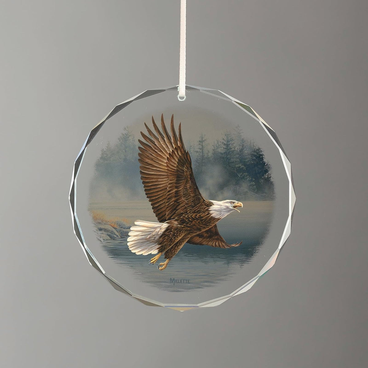 Wild Wings Hanging Ornament, Multi Color