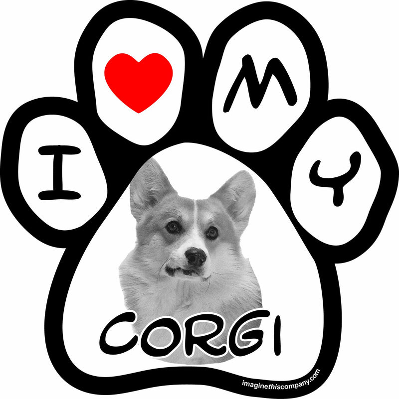 Imagine This 5-1/2-Inch by 5-1/2-Inch Car Magnet Picture Paw, Corgi