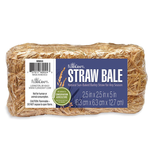 Floracraft Naturals 2.5 x 2.5 x 5" Straw Bale