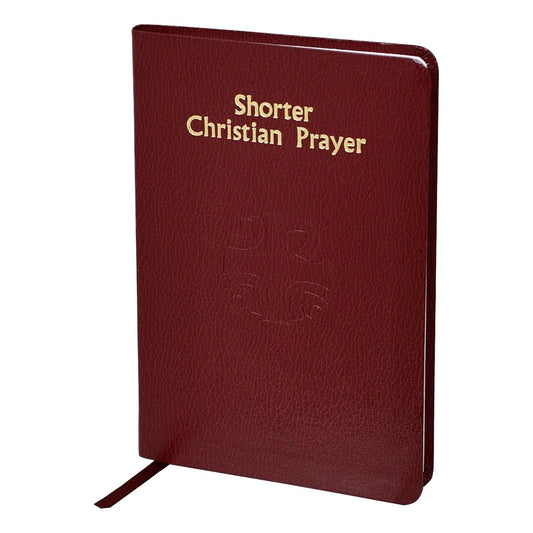 Living Grace Blank Book, 6.75", Maroon