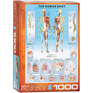 EuroGraphics Puzzles, 1000, Educational