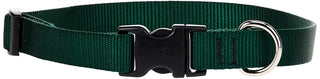 Lupine Pet Basics 3/4" Green 13-22" Adjustable Collar for Medium and Larger Dogs