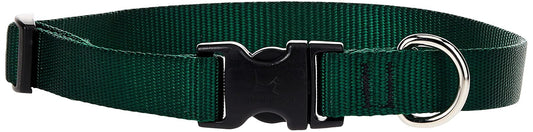 Lupine Pet Basics 3/4" Green 13-22" Adjustable Collar for Medium and Larger Dogs