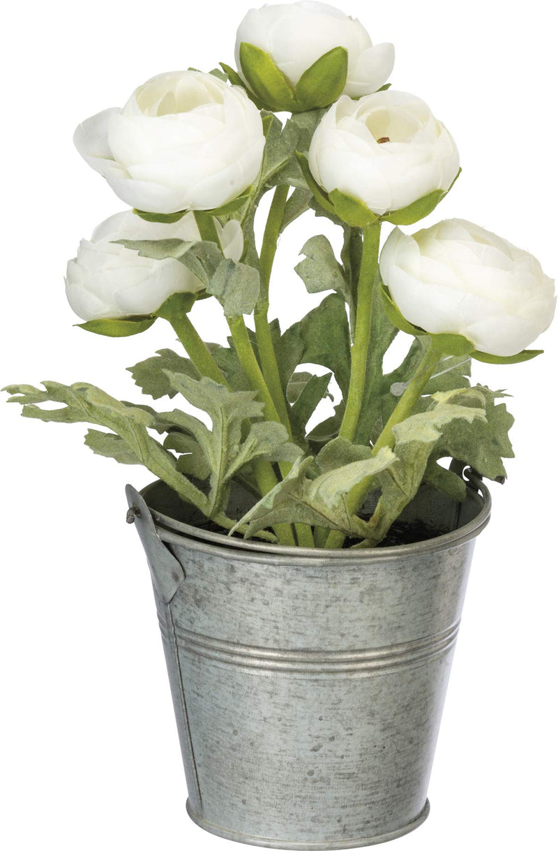 Primitives by Kathy Floral White Ranunculus