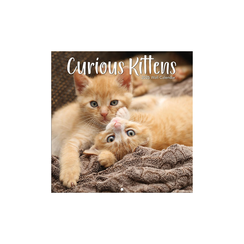 TURNER PHOTOGRAPHIC Curious Kittens Photo Mini Wall Calendar (25998950004)