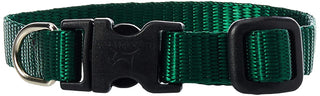 Lupine Pet Basics 1/2" Green 6-9" Adjustable Collar for Extra Small Dogs