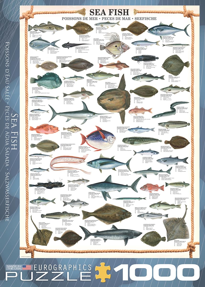 EuroGraphics Toys And Games, 1000, Realistic/Educational