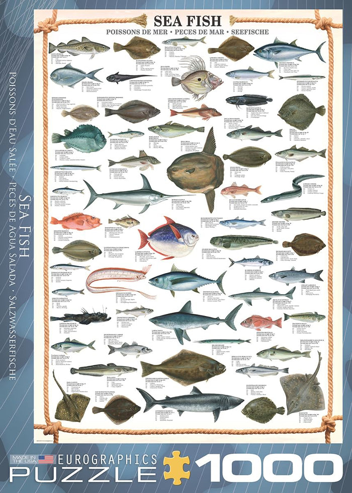 EuroGraphics Toys And Games, 1000, Realistic/Educational