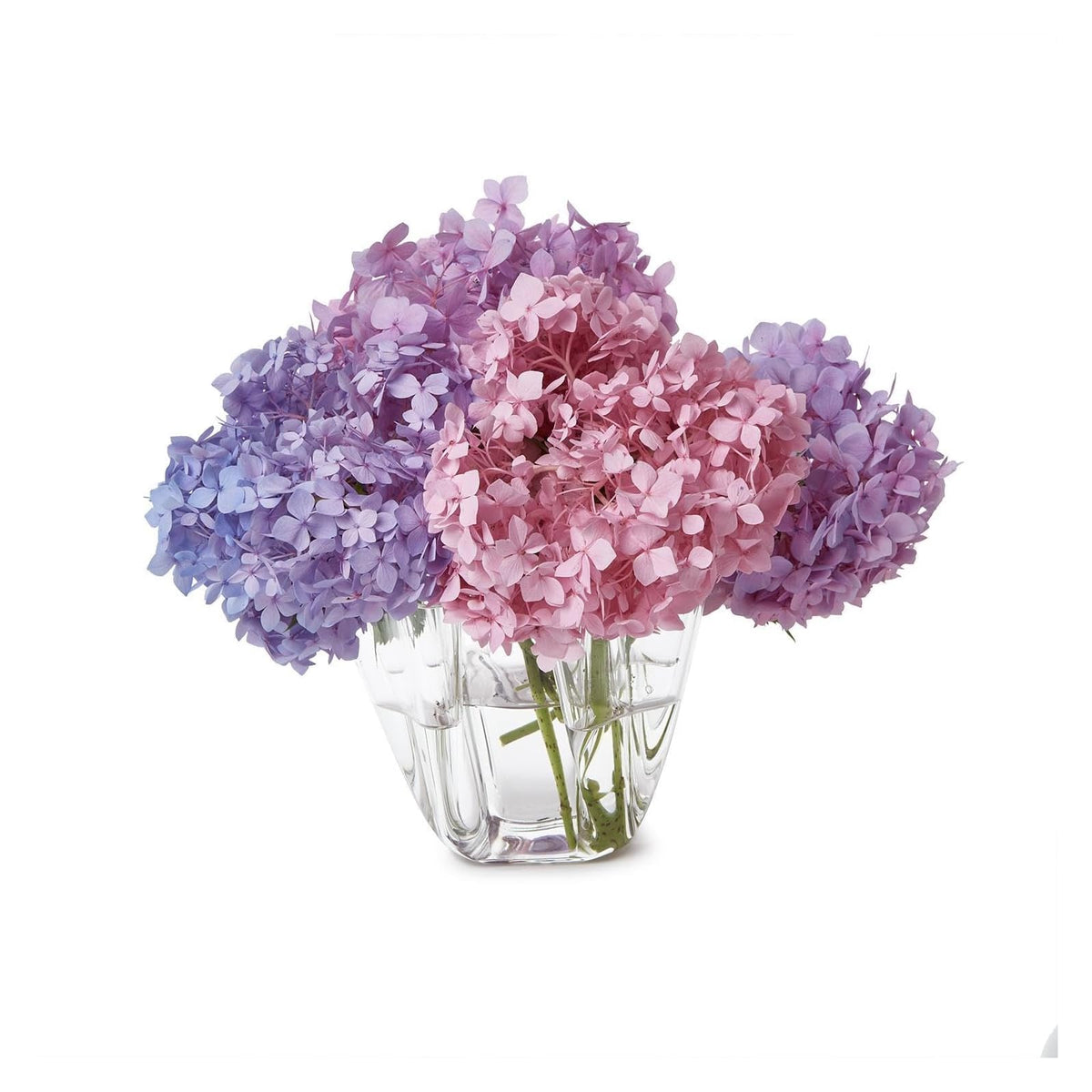 Two's Company Vase, 8 inches (L) x 8 inches (W) x 6 inches (H), Clear
