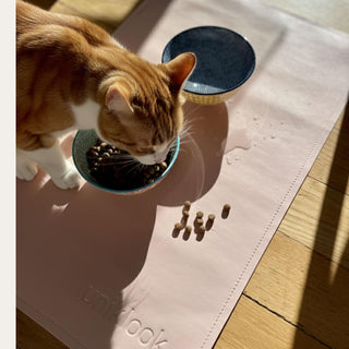 Uniklook Pet Placemat, 14"x 22", Blush