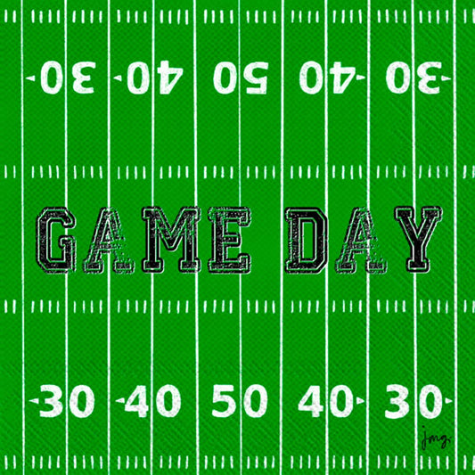 Boston International IHR 3-Ply Paper Napkins, 20-Count Cocktail Size, Game Day Field