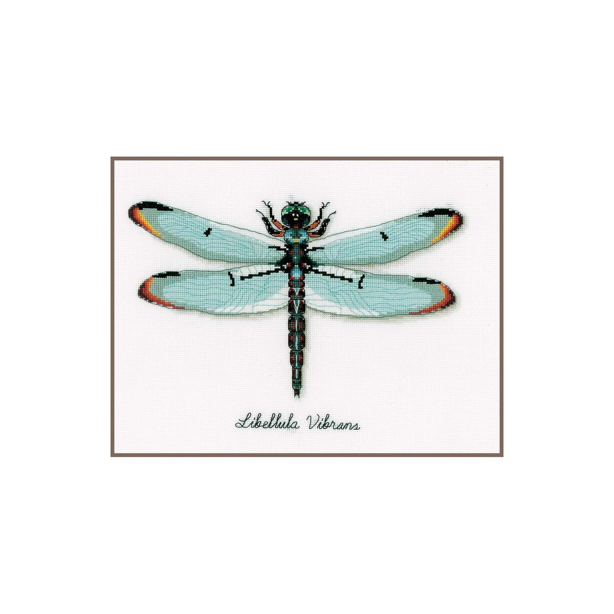 Vervaco Art Craft Kit, 40 x 2 x 20 cm, Dragonfly