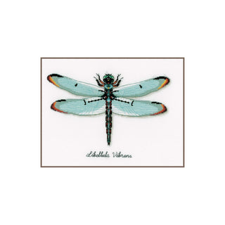 Vervaco Art Craft Kit, 40 x 2 x 20 cm, Dragonfly