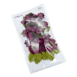 49 and Market Dried Plant, Plum