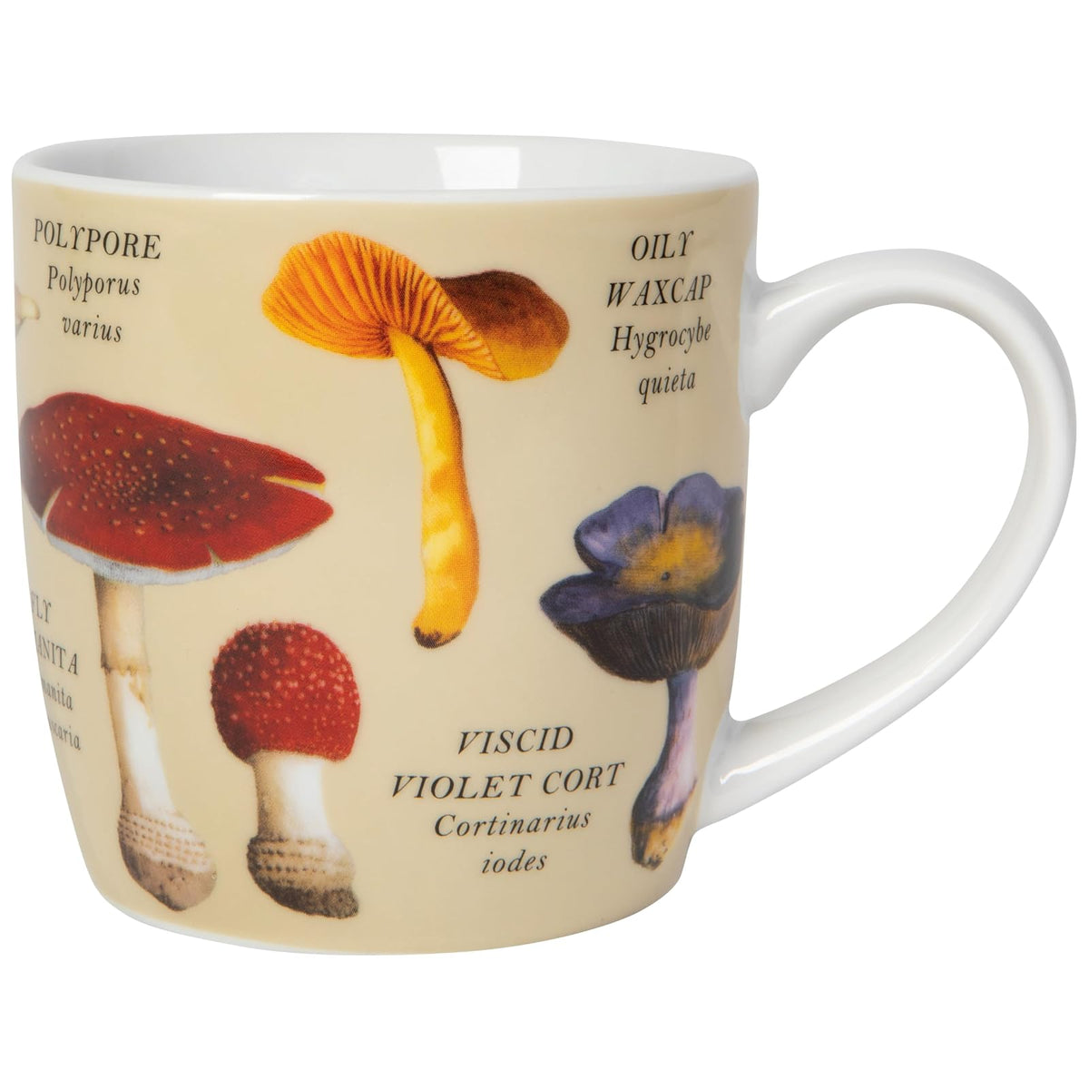 Now Designs Drinking Cup, 12 Ounces, Mushrooms