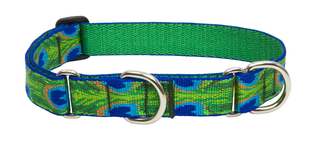 Lupine Pet Originals 1" Tail Feathers 15-22" Martingale Collar for Medium and Larger Dogs