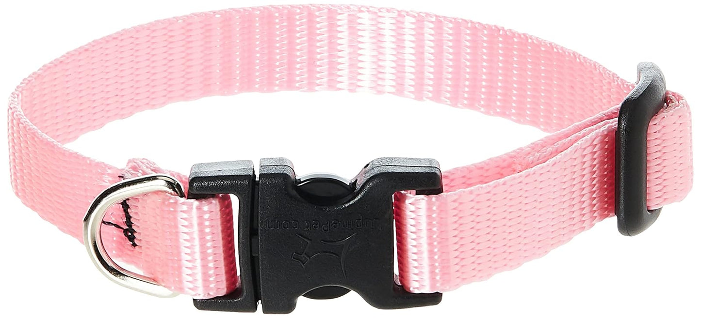 Lupine Pet Basics 1/2" Pink 6-9" Adjustable Collar for Extra Small Dogs