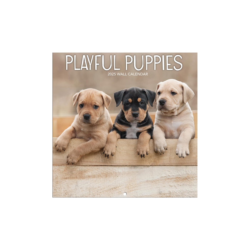 TURNER PHOTOGRAPHIC Playful Puppies Photo Mini Wall Calendar (25998950017)