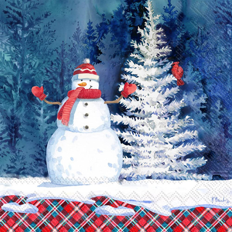 Boston International IHR Winter Holiday Christmas 3-Ply Paper Napkins, 20-Count Cocktail Size, Frosted Snowman