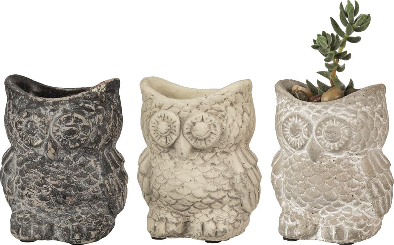 Primitives by Kathy Owl Small 3.50 Inches x 3.25 Inches x 2.75 Inches Cement Standing Planters Set 3 Colors