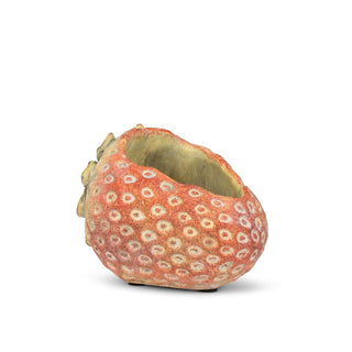 Abbott Collection Planter, 3.5"H, Red