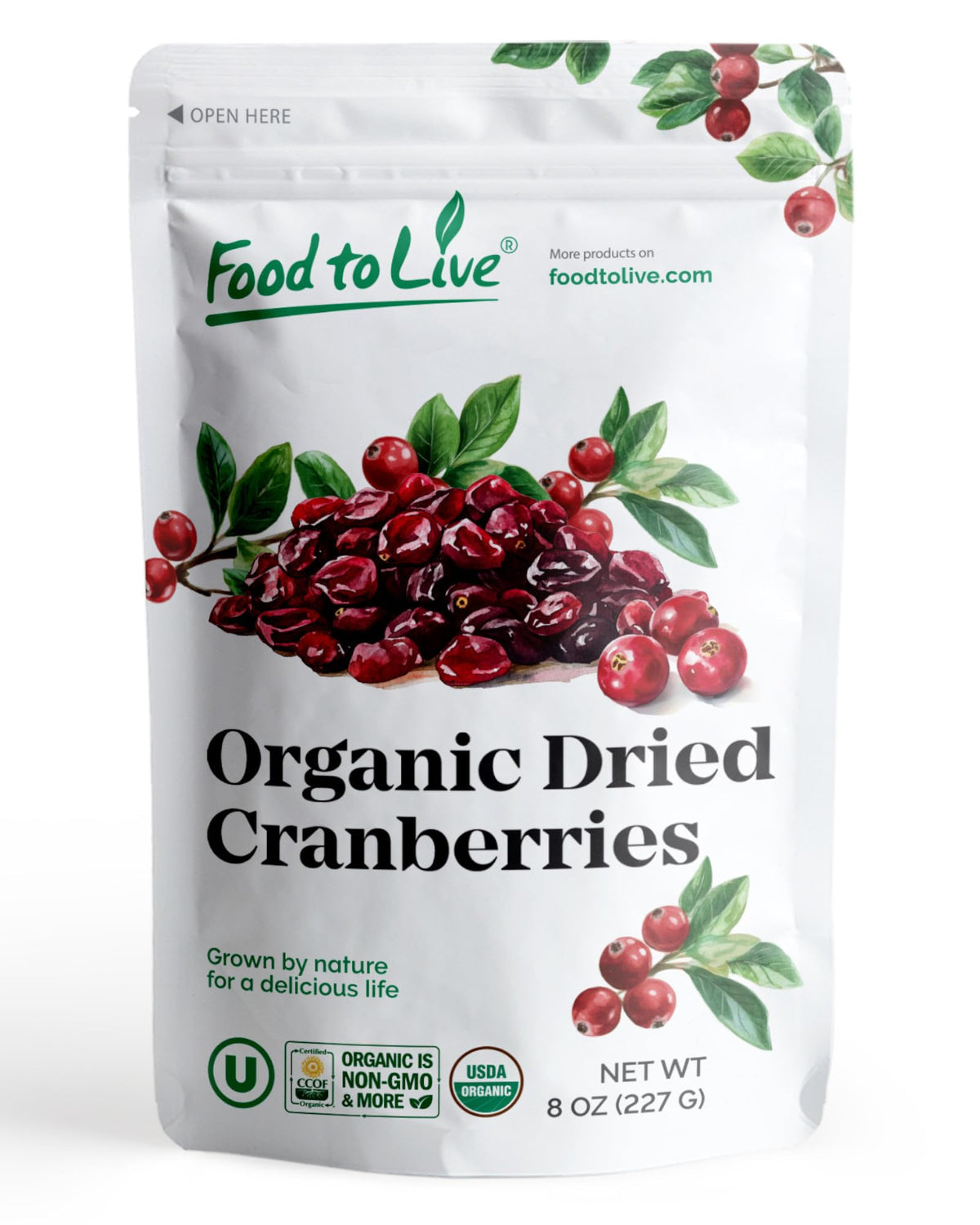 Food to Live Fruit, 8 Ounce (Pack of 1)