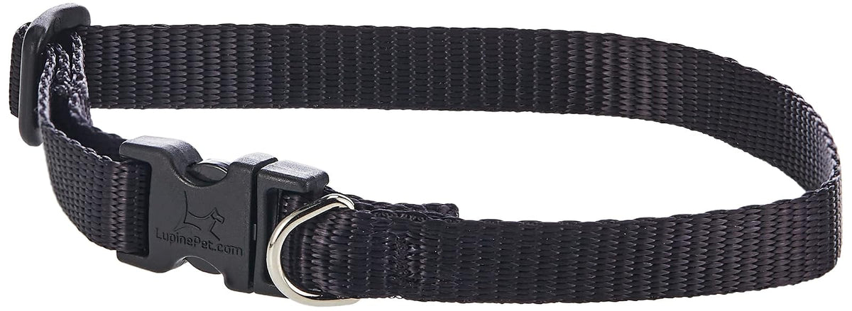 Lupine Pet Basics 1/2" Black 10-16" Adjustable Collar for Small Dogs