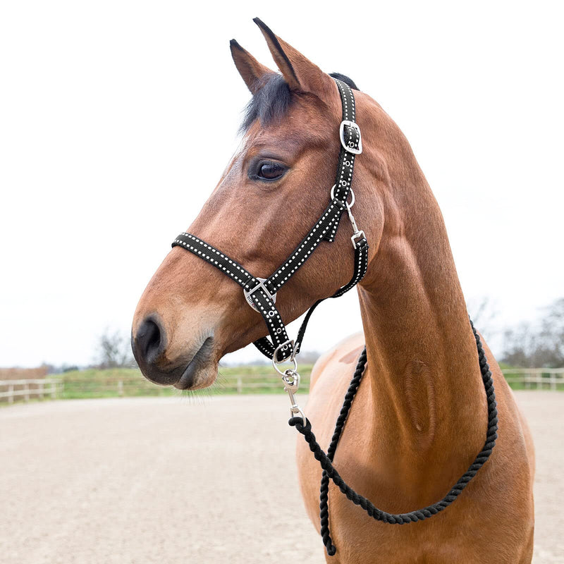 HORZE Cooper Halter with Lead Rope - Black - Cob