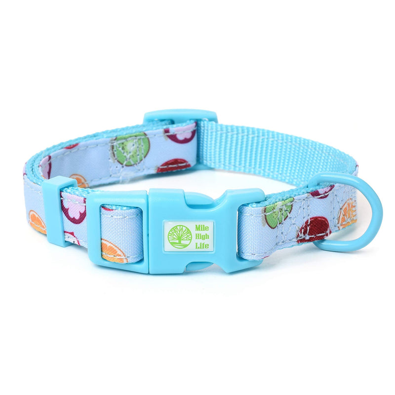 Mile High Life | Tropical Fruit Summer Collection | Soft Poly Cotton Fabric | Girl Dog Collars (Citrus, Collar: X-Small Neck 9&quot;-13&quot; -20 Ib)