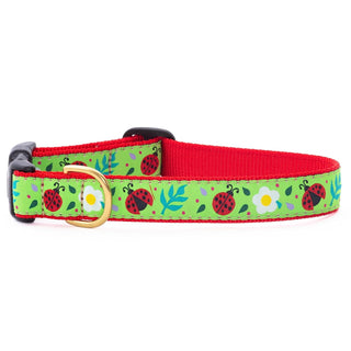 Up Country Animal Collar
