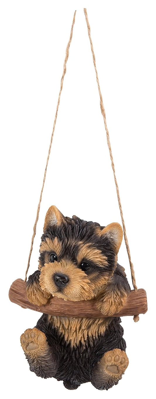 Hi Line Hanging Yorkshire Terrier Puppy