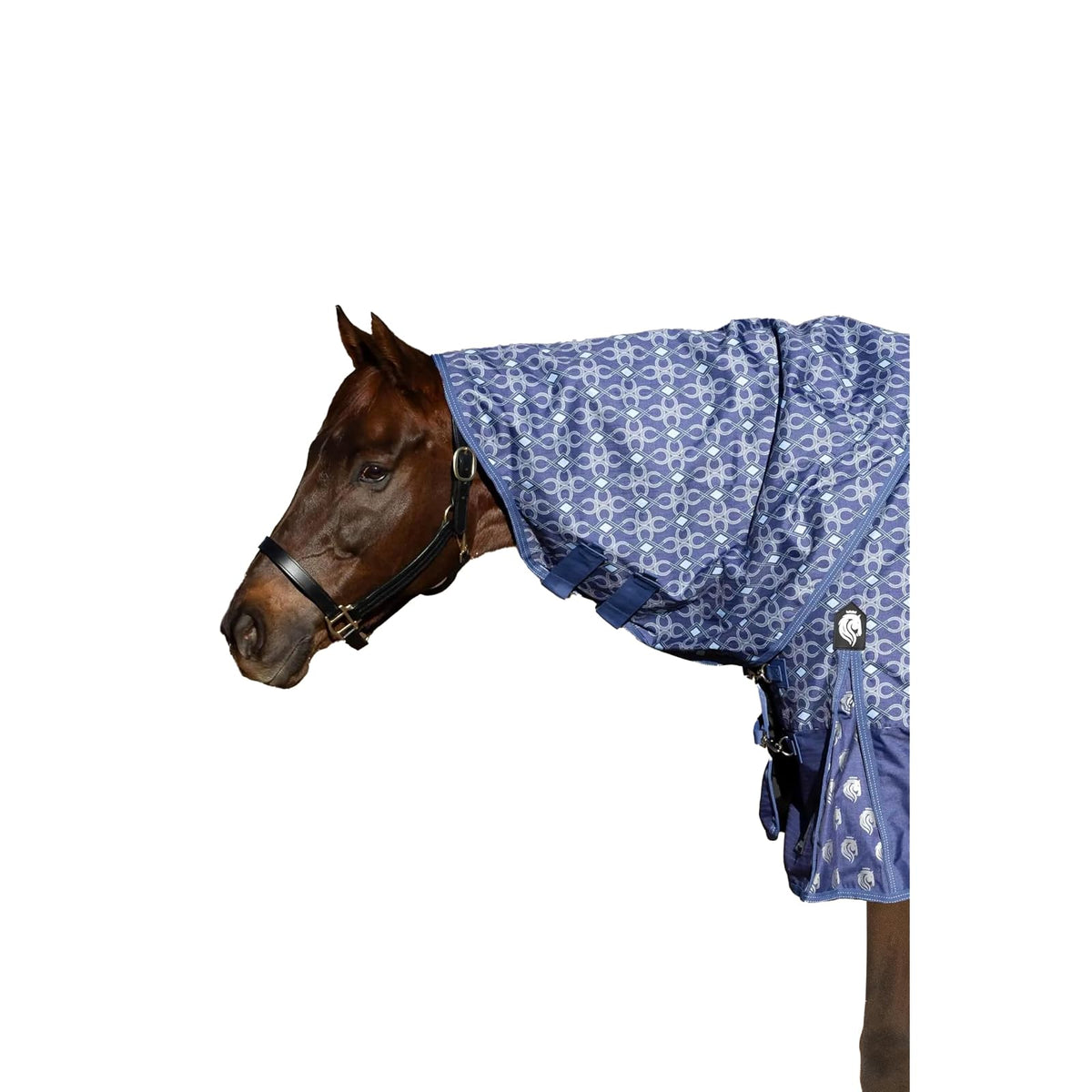 Equinavia Pet Apparel, S, Skipper Blue