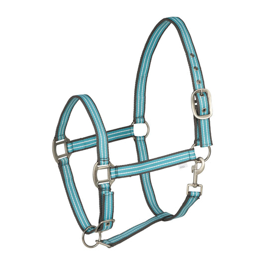 HORZE Adepto Halter - Canal Blue - Cob