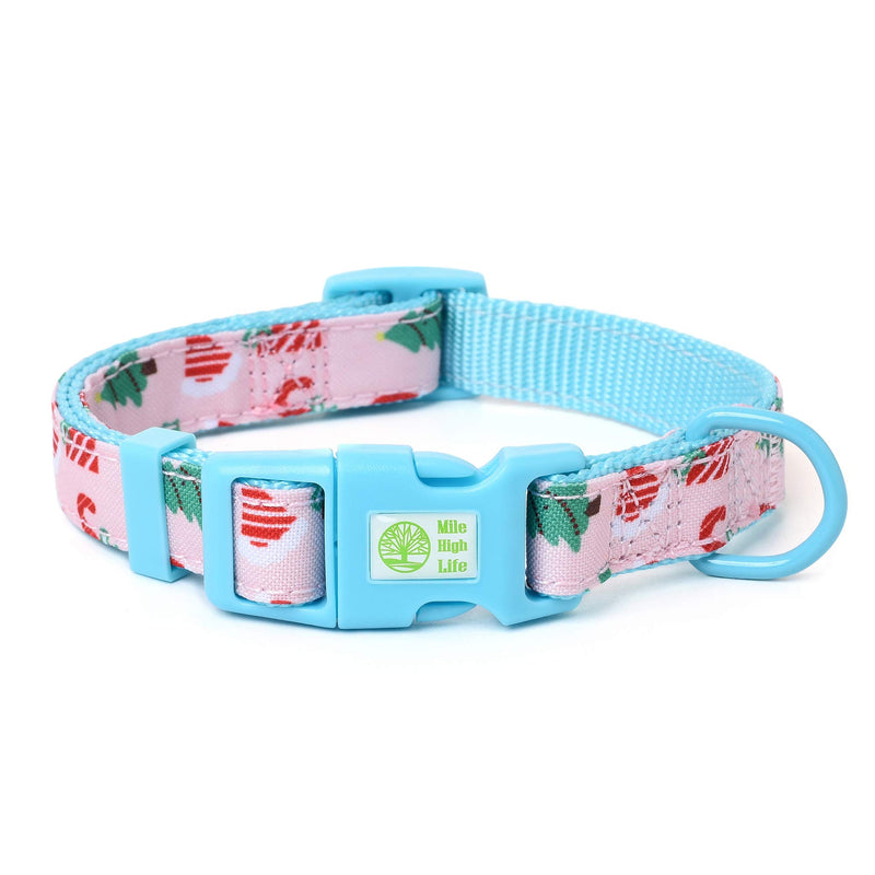 Mile High Life | Natural Wild Flower Collection | Soft Poly Cotton Fabric | Girl Dog Collars (Candy Canes, Collar -M)