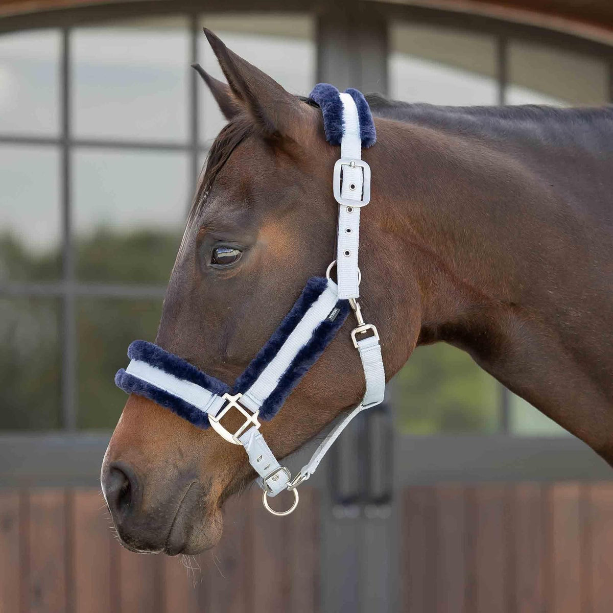 Equinavia Pet Supplies, Cob, Sweet Blue/Navy