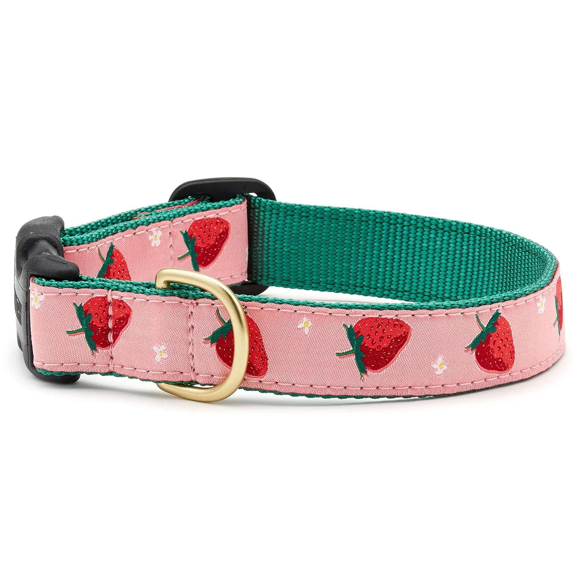Up Country Animal Collar